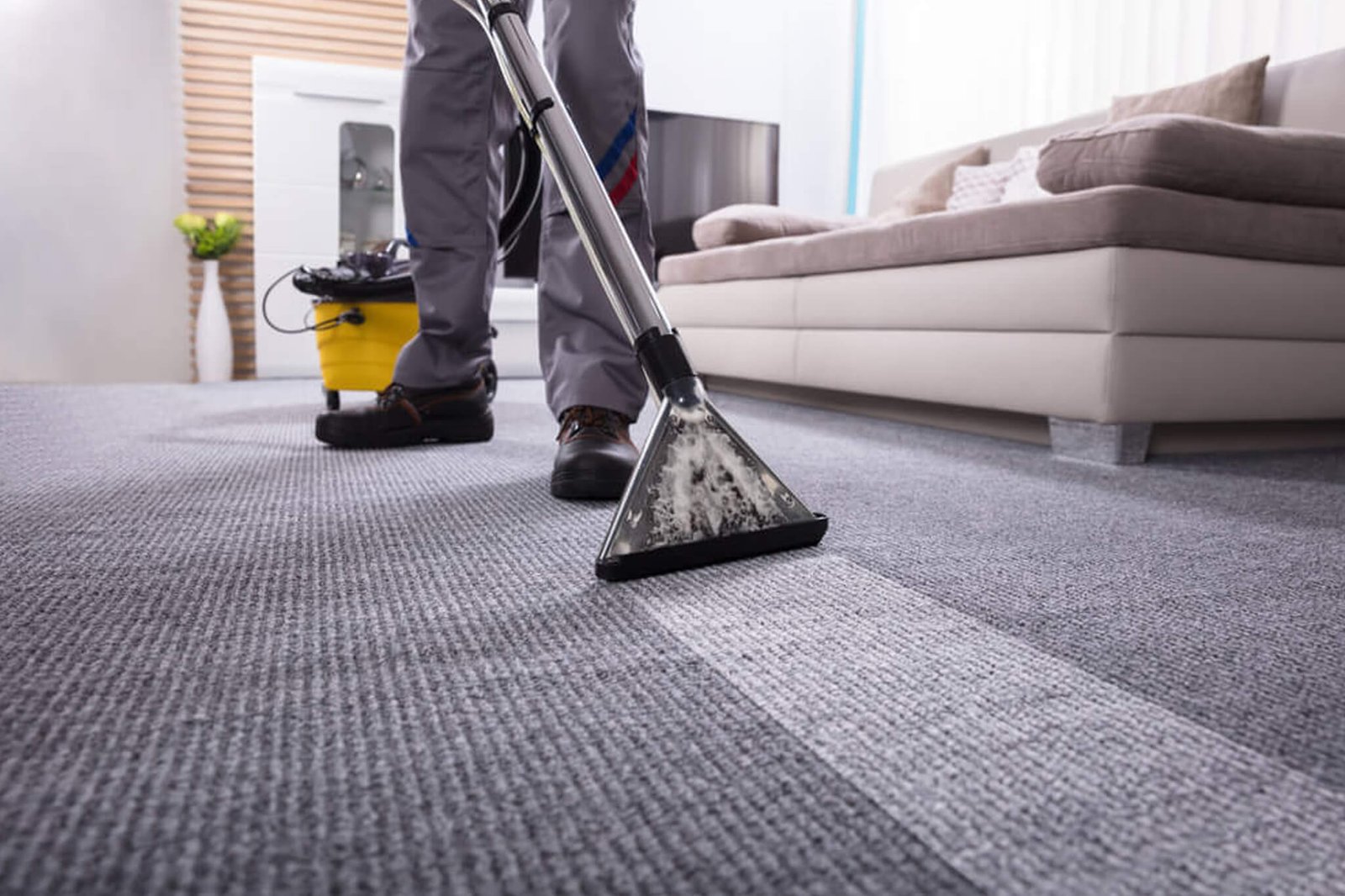 How to Keep Your Carpets Clean with Cleaning on a Click